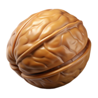 striking joyful mid-century Walnut in shell NO BACKGROUND with Transparent Background. impeccable png