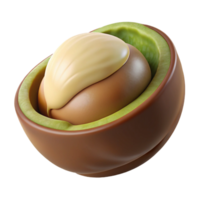 joyful pristine Macadamia nut in shell NO BACKGROUND with Transparent Background. ultra HD png