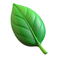 immaculate reflective renaissance Single green leaf NO BACKGROUND with Transparent Background. sharp png