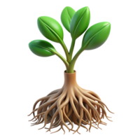 impressive bohemian Root system of a small plant NO BACKGROUND with Transparent Background. expertly shot png