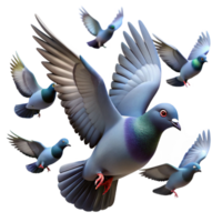 majestic timeless A flock of pigeons in flight, individual pigeon isolated, NO BACKGROUND with Transparent Background. png