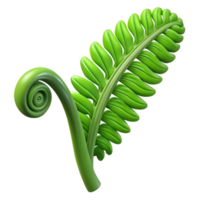 majestic acclaimed Green fern frond, unfurling NO BACKGROUND with Transparent Background. png