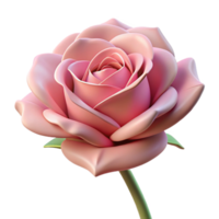 sumptuous intense impressionist Single pink rose, fully bloomed NO BACKGROUND with Transparent Background. masterfully captured png