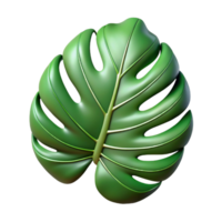 mesmerizing rustic Monstera leaf, large and detailed NO BACKGROUND with Transparent Background. flawless png