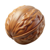 wonderful coastal Walnut in shell NO BACKGROUND with Transparent Background. sharp png