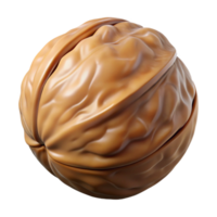 reflective glorious Walnut in shell NO BACKGROUND with Transparent Background. crisp png
