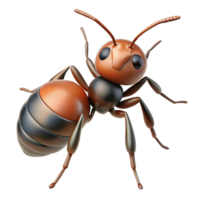 notable bohemian Ant, close-up NO BACKGROUND with Transparent Background. 8K png