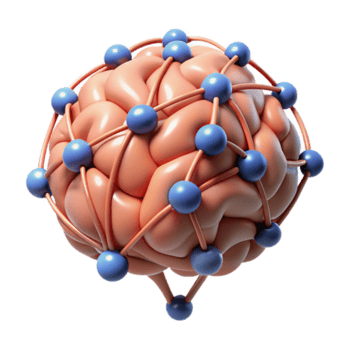 lugn fascinerande en stiliserade, hjärna med sammankopplade neuralt nätverk. Nej bakgrund med transparent bakgrund. handgjord png