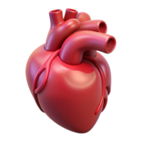 vibrant exemplary A human heart, anatomically correct and stylized. NO BACKGROUND with Transparent Background. png