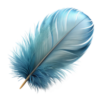peaceful striking A floating, fluffy feather with delicate, feathery details. NO BACKGROUND with Transparent Background. artisan png