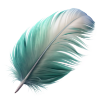 timeless impressionist A floating, fluffy feather with delicate, feathery details. NO BACKGROUND with Transparent Background. elite png