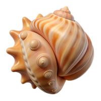mysterious elegant A single, detailed seashell with intricate textures. NO BACKGROUND with Transparent Background. genuine png