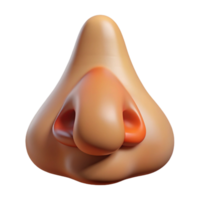 splendid sought-after A single, realistic human nose. NO BACKGROUND with Transparent Background. png