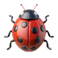 playful spectacular A close-up of a ladybug, NO BACKGROUND with Transparent Background. detailed png