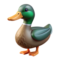 tranquil spectacular A duck, Mallard breed, NO BACKGROUND with Transparent Background. high resolution png