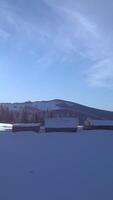 neve cobertores a terra e sempre-verde árvores, enquanto uma montanha sobe dentro a distância debaixo uma Claro azul céu. uma sereno inverno cena convida exploração e aventura. vertical cenas video