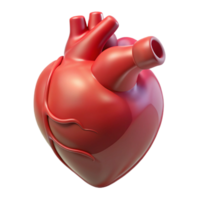playful beautiful Heart, human, NO BACKGROUND with Transparent Background. sharp png