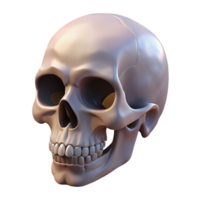 memorable coastal A single, realistic human skull. NO BACKGROUND with Transparent Background. impeccable png