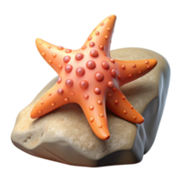 harmonious impressive A starfish clinging to a rock. NO BACKGROUND with Transparent Background. authentic png