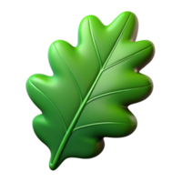 gorgeous distinctive Single green oak leaf NO BACKGROUND with Transparent Background. png