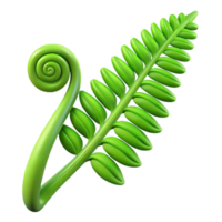 peaceful mesmerizing Green fern frond unfurling NO BACKGROUND with Transparent Background. sharp png