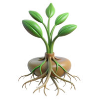 tranquil elegant Root system of a plant NO BACKGROUND with Transparent Background. ultra HD png