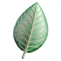 memorable bohemian Leaf skeleton NO BACKGROUND with Transparent Background. high quality png
