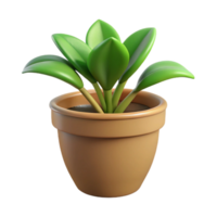 nostalgic serene Houseplant in a pot, NO BACKGROUND with Transparent Background. high quality png