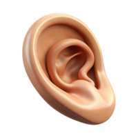 tranquil spectacular A single, detailed illustration of a human ear with pointed tip. NO BACKGROUND with Transparent Background. top-tier png