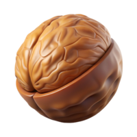 stunning unparalleled Walnut in shell NO BACKGROUND with Transparent Background. png
