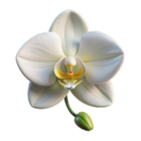 unparalleled victorian Single orchid flower, white. NO BACKGROUND with Transparent Background. high quality png
