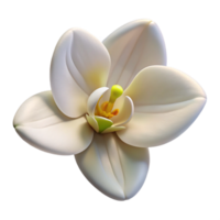 reflective beautiful Single orchid flower, white. NO BACKGROUND with Transparent Background. premium png