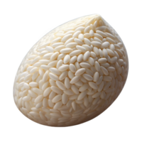 striking coveted Single grain of rice, white. NO BACKGROUND with Transparent Background. png