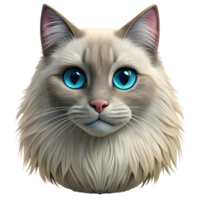 reflective glorious A portrait of a Ragdoll cat, long fur, NO BACKGROUND with Transparent Background. impeccable png