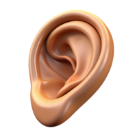 radiant dramatic urban A realistic rendering of a single human ear with pointed tip, NO BACKGROUND with Transparent Background. handcrafted png