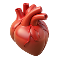 sought-after renaissance A human heart, anatomically accurate, NO BACKGROUND with Transparent Background. precision png