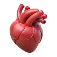striking bold art deco A human heart, anatomically accurate, NO BACKGROUND with Transparent Background. elite png
