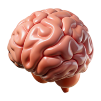 serene avant-garde A brain, human and realistic, NO BACKGROUND with Transparent Background. premium png