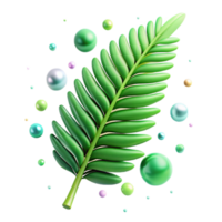 serene traditional Single Green Fern Frond Isolated with Realistic Detail high resolution png