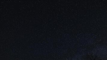 Time lapse of Starry night sky, A clear view of the night sky filled with countless stars, with the silhouette of a tree barely visible in the bottom right corner video