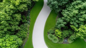 Aerial view of winding garden path surrounded by lush greenery photo