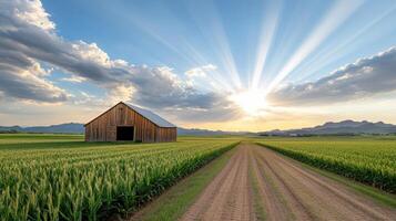 serene countryside scene featuring barn, fields, and sunset photo