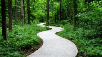 Winding path through lush green forest, inviting exploration and tranquility photo
