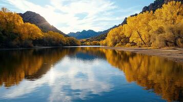 A river in the mountains with yellow trees photo