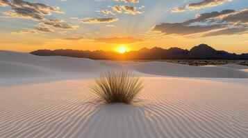A desert landscape with a sun setting behind it photo
