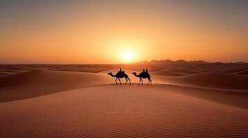 Camel caravan in the sahara desert at sunset photo