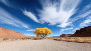 A lone tree stands in the middle of a desert photo