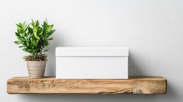 White box mockup on wooden shelf with potted plant photo