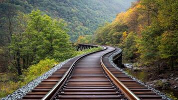 A railroad track in the woods with trees and trees photo
