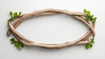 Driftwood frame with green leaves on white background 3d render photo
